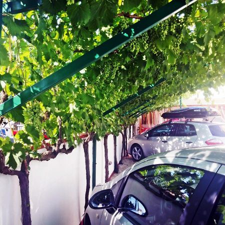 Apartments Eugen Pedisic Turanj Ngoại thất bức ảnh